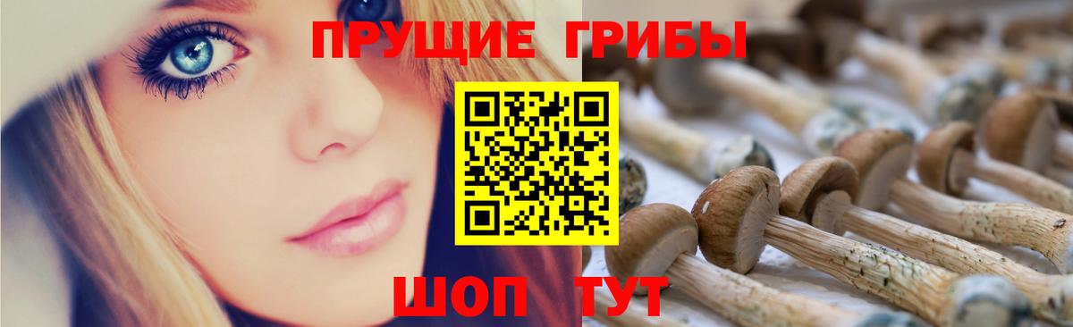 Пушкино  Галлюциногенные грибы прущие грибы  Галлюциногенные грибы мухоморы  купить  цена  Вход с VPN 